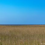 Eine Reise rund um den Ringkøbing Fjord 2 