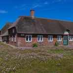 Eine Reise rund um den Ringkøbing Fjord 3 