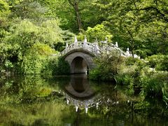 Eine romantische Brücke in der Natur