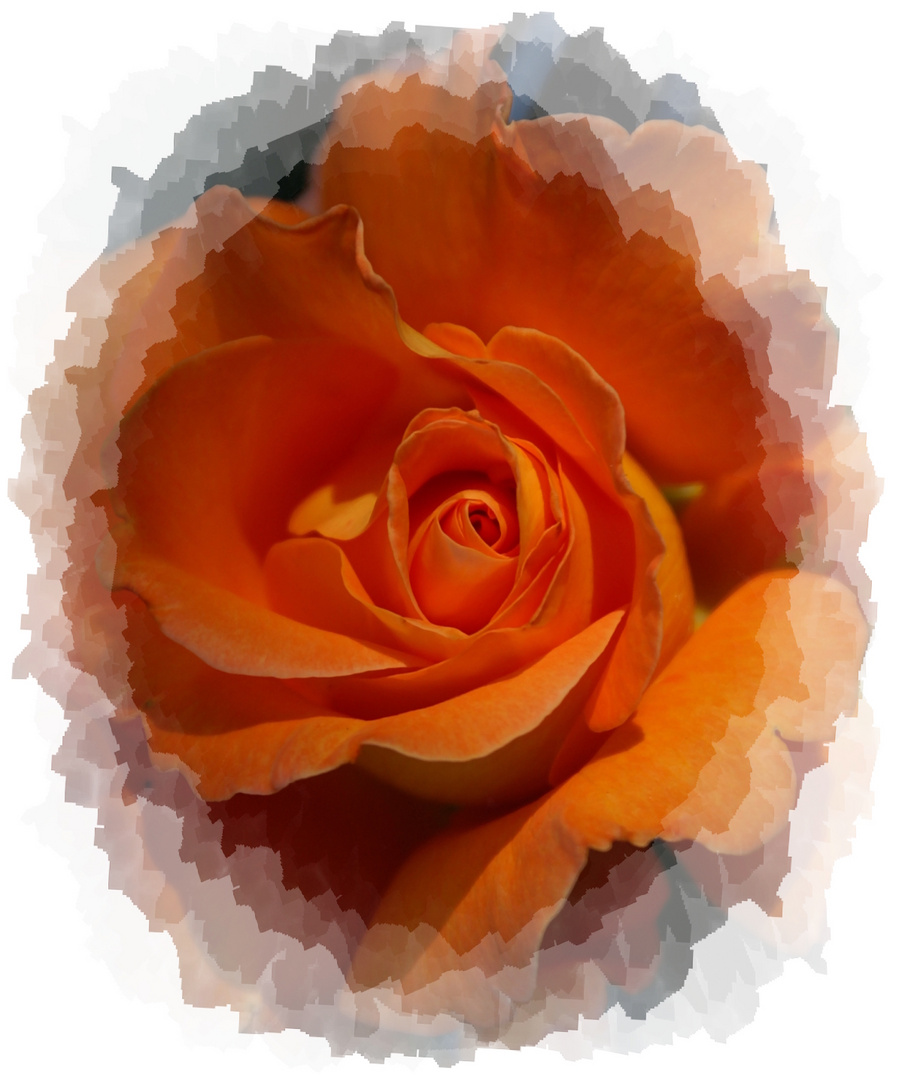 Eine Rose für Bea, (reload)