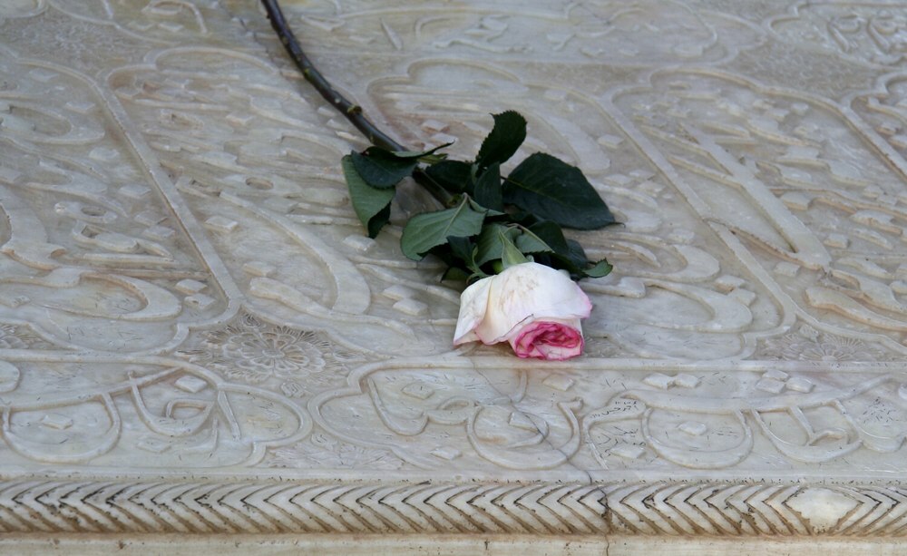 Eine Rose fuer den grossen Dichter Hafez