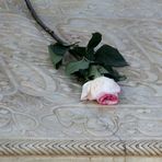 Eine Rose fuer den grossen Dichter Hafez