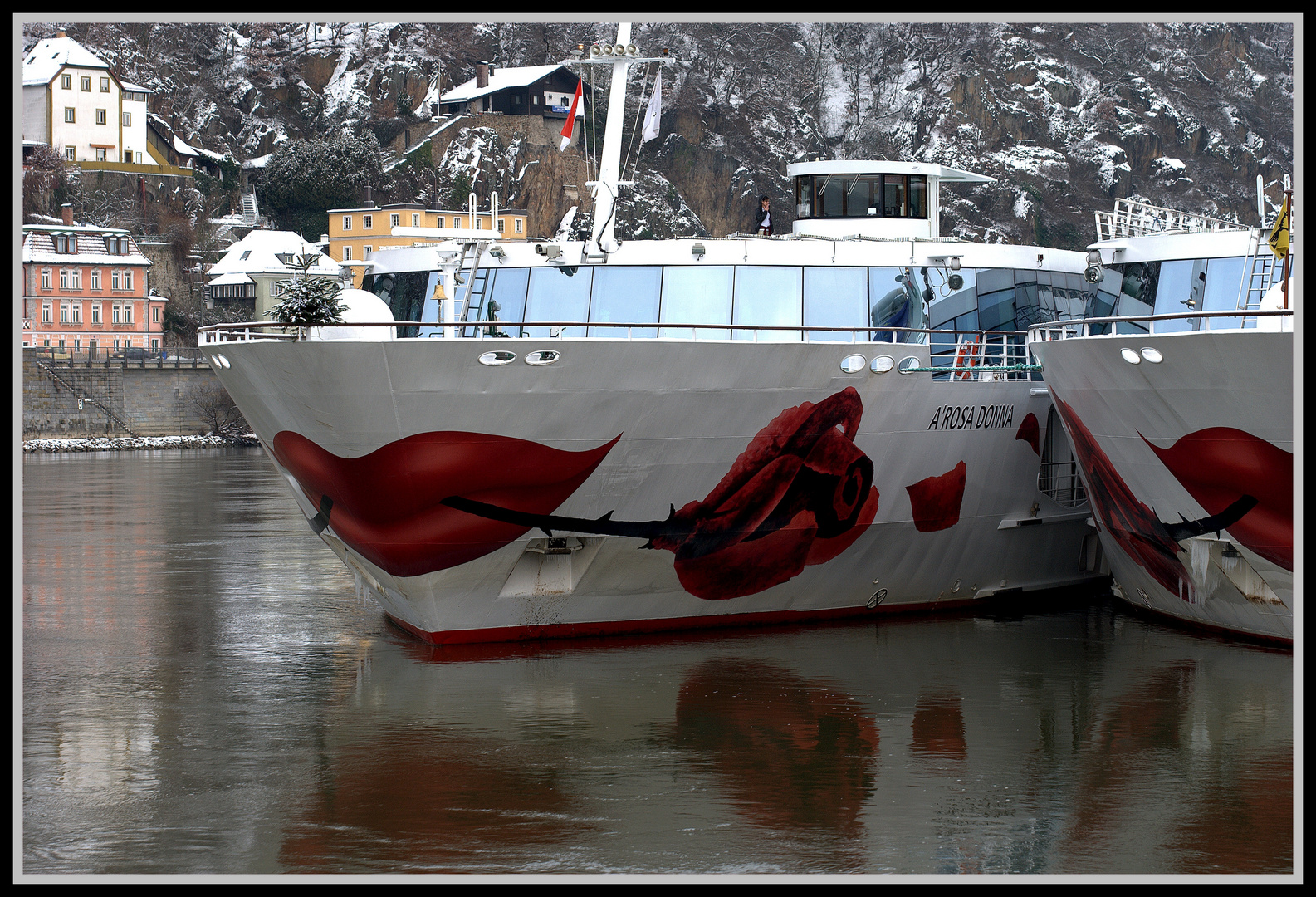 Eine Rose für die Donau