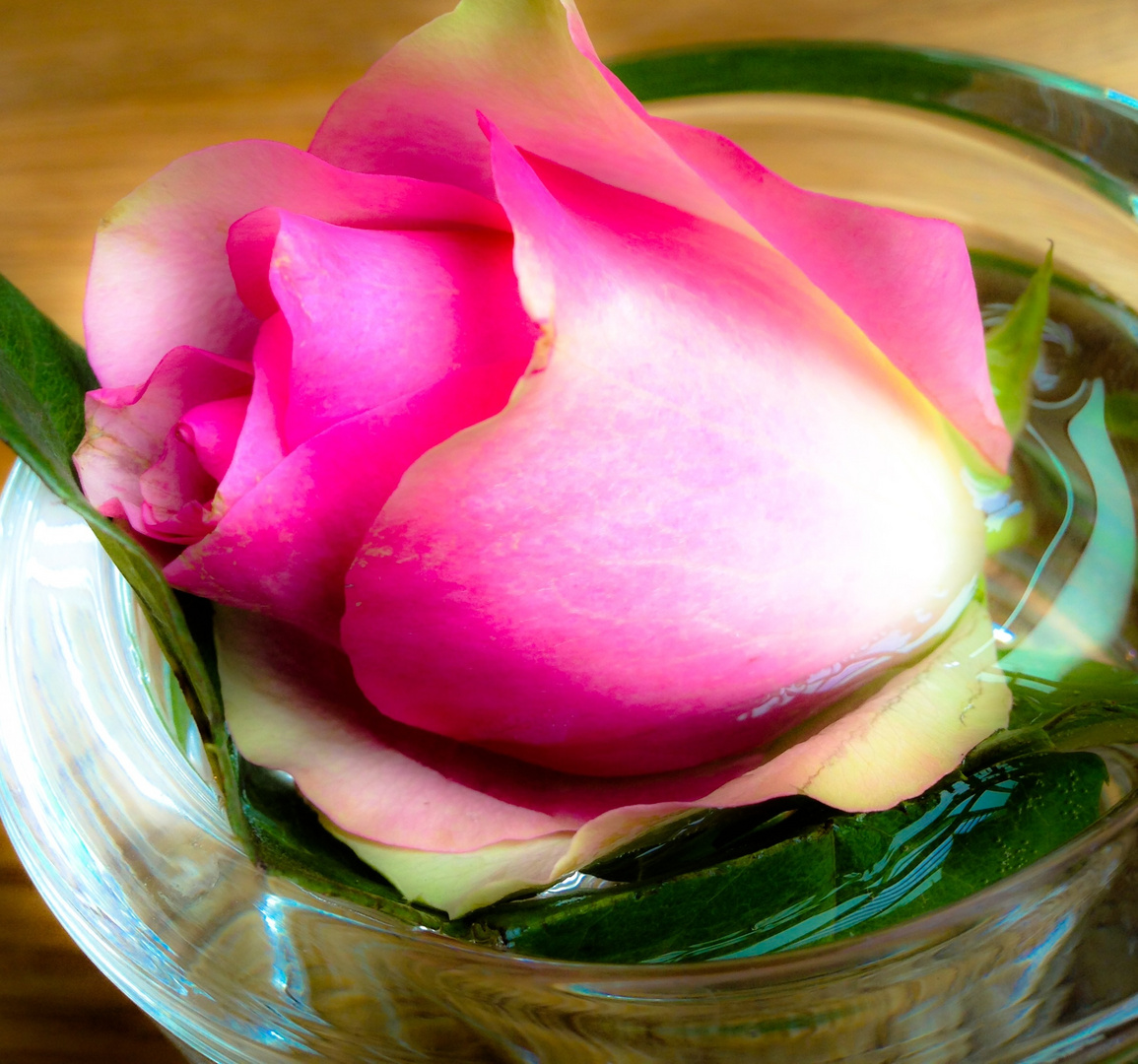 Eine Rose für oder gegen das Grau in Grau der Novembertage