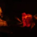 eine rose im dunklen zimmer neben einer kerze in einem roten teelichtglas