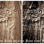 eine rose ist eine