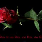 Eine Rose ist eine Rose............