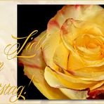 Eine Rose zum Geburtstag,