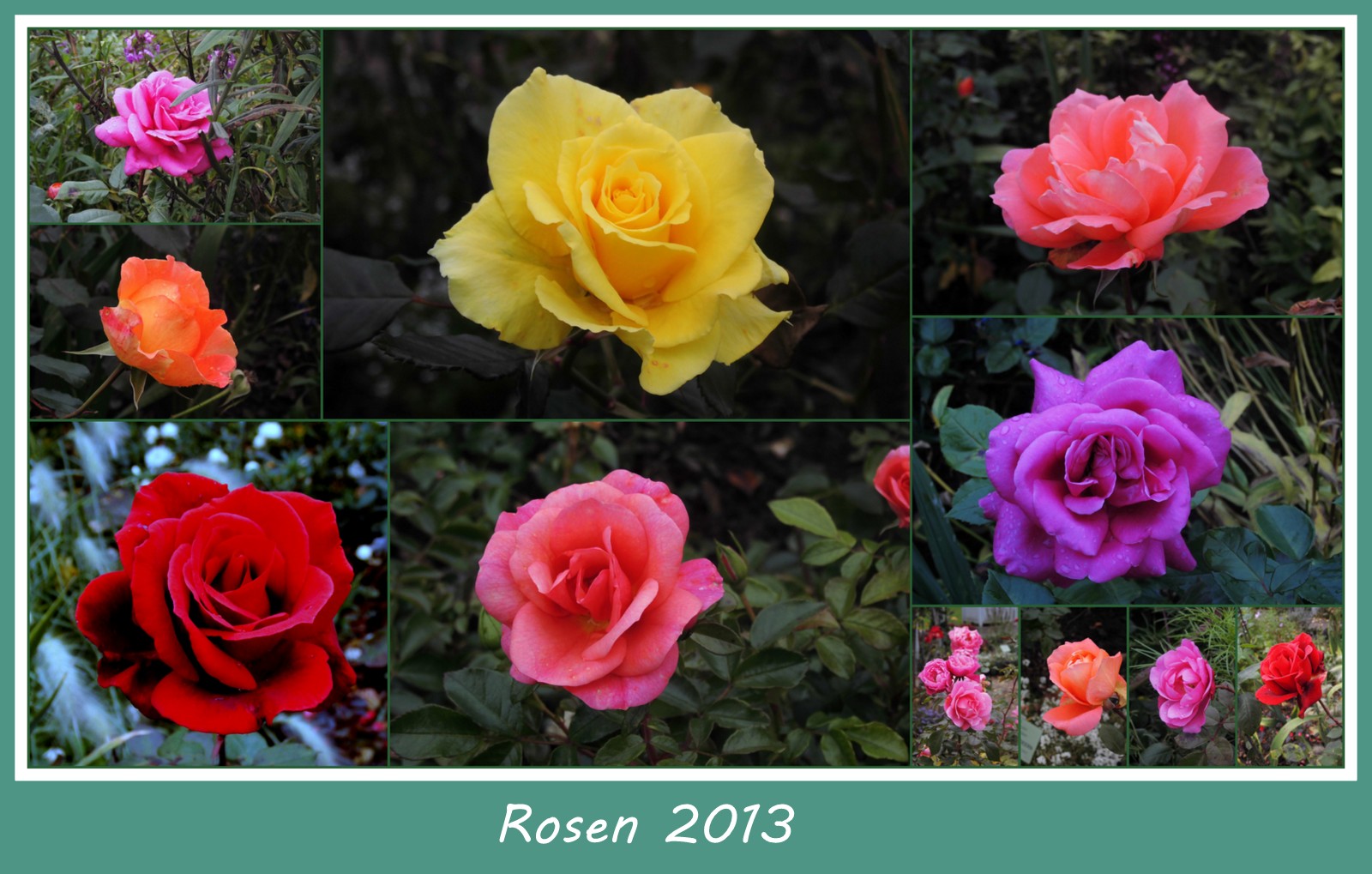 Eine Rosen Collage