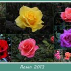 Eine Rosen Collage