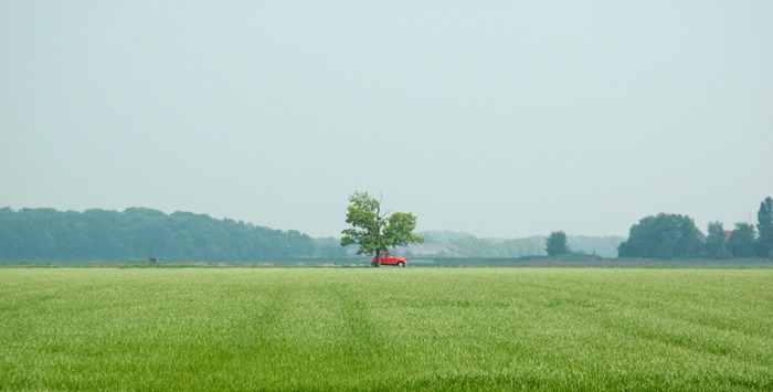 Eine rote Ente