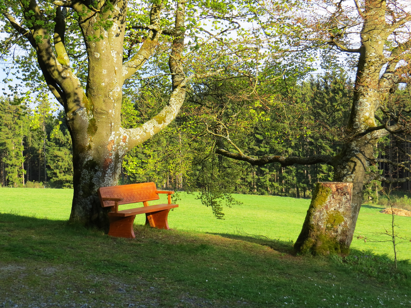 Eine Ruhebank auf einem kleinen, einsam gelegenen Waldfriedhof