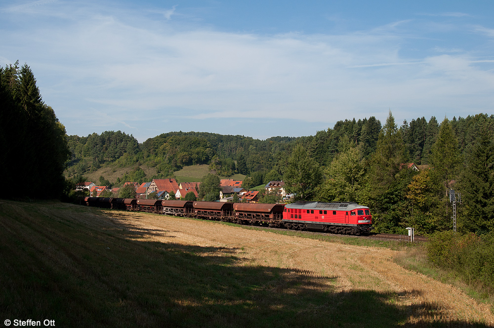 Eine Ruhestörung im Wald