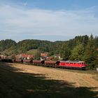 Eine Ruhestörung im Wald