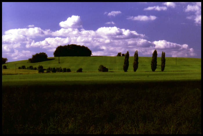 Eine Ruhige Sommerlandschaft