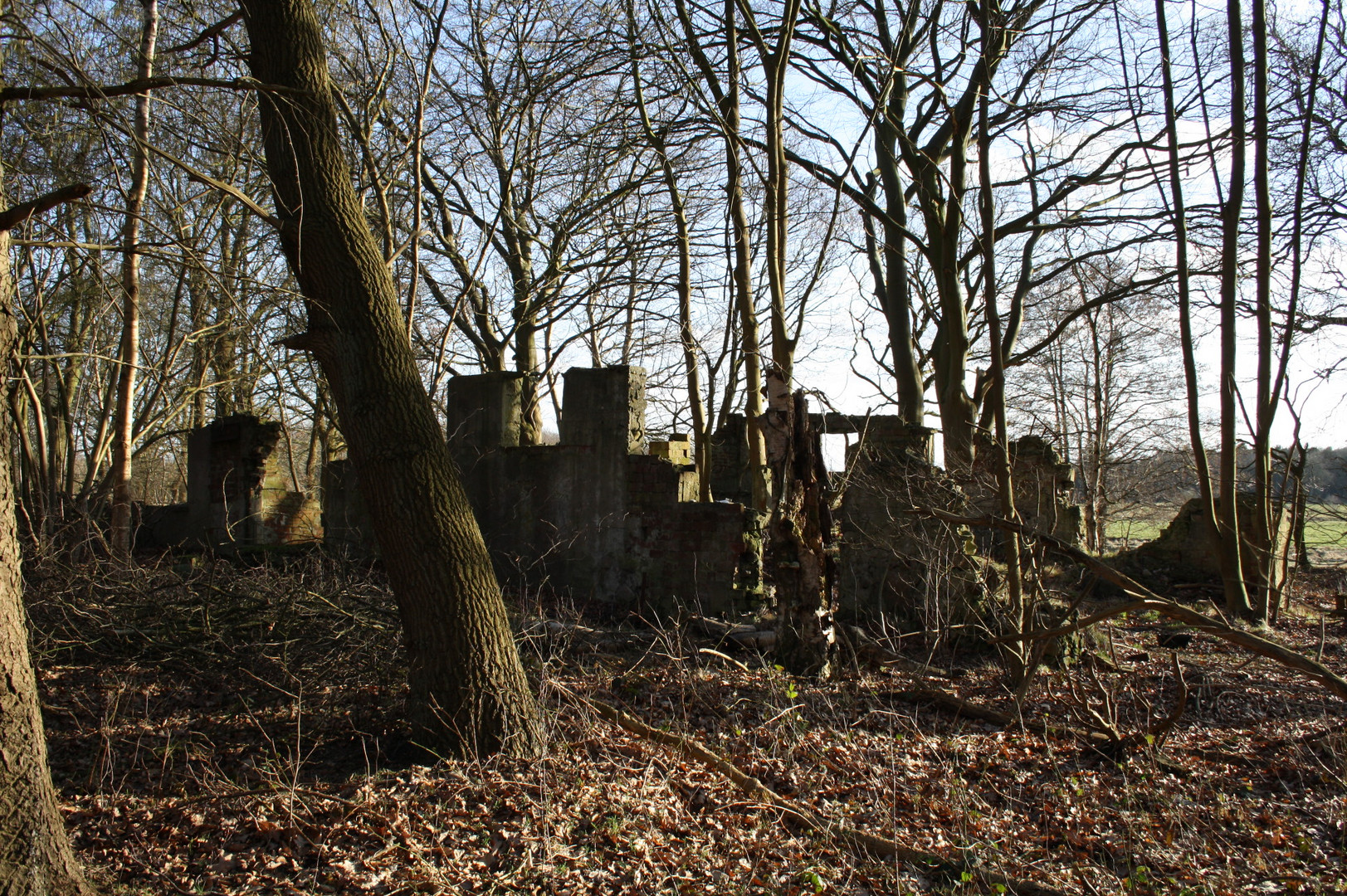 Eine Ruine im Wald