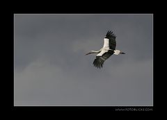 Eine Runde Fliegen