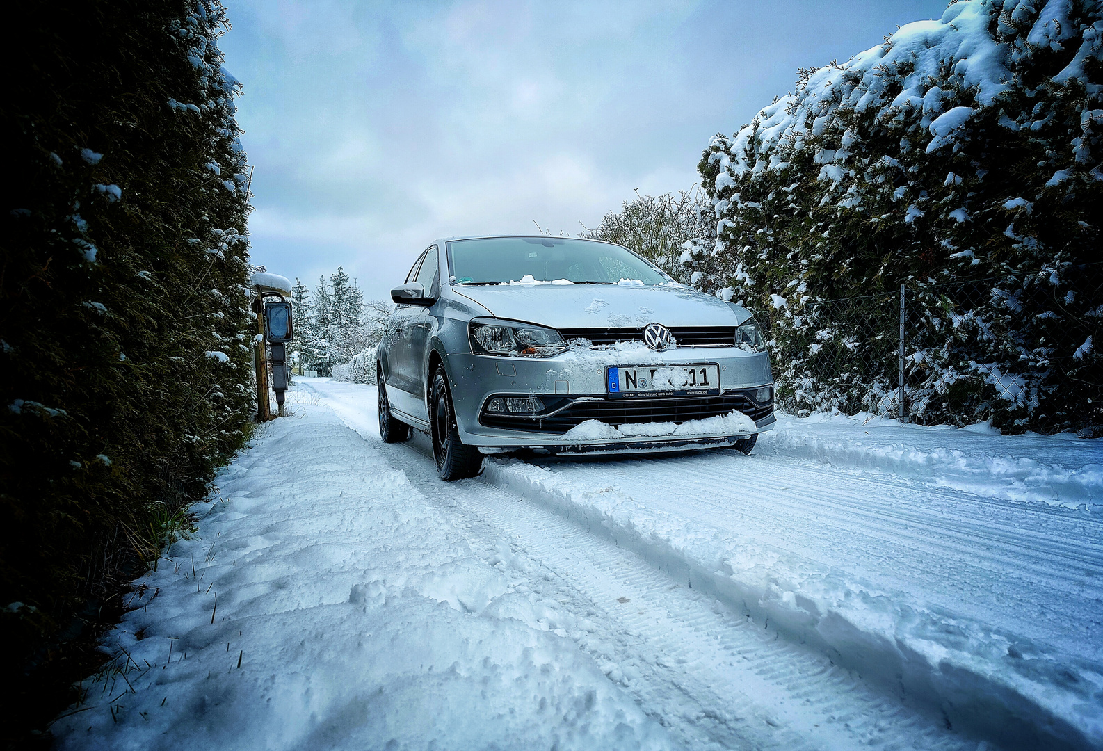 Eine runde Polo im Schnee 