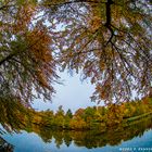 Eine Runde um den See