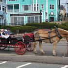 Eine Rundfahrt gefällig ?                         DSC_6335