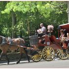 Eine Rundfahrt mit Pferd und Wagen in Central Park New York