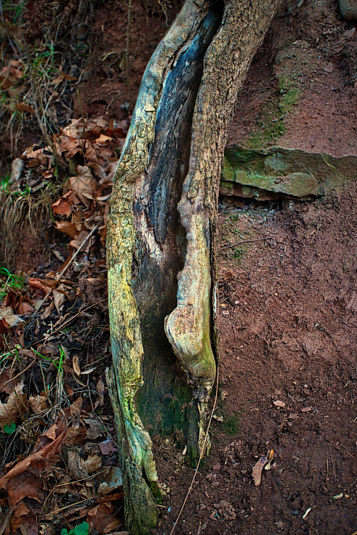 Eine Rutsche für Holzwürmer ;-))))