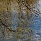 eine sanfte Berührung zwischen den Zweigen und  dem Wasser