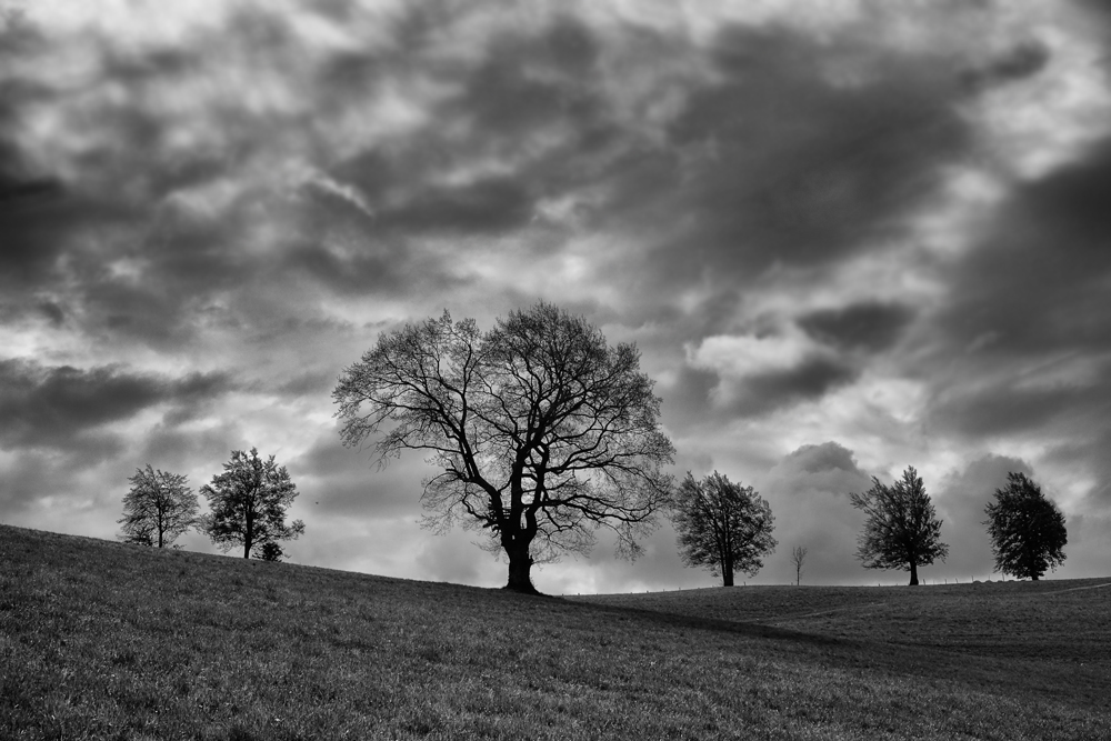 Eine Schlechtwetterfront...