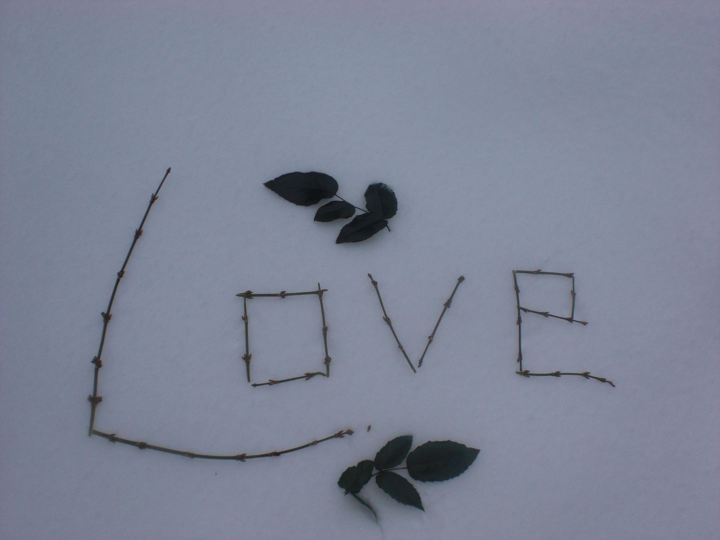 Eine Schnee Liebe