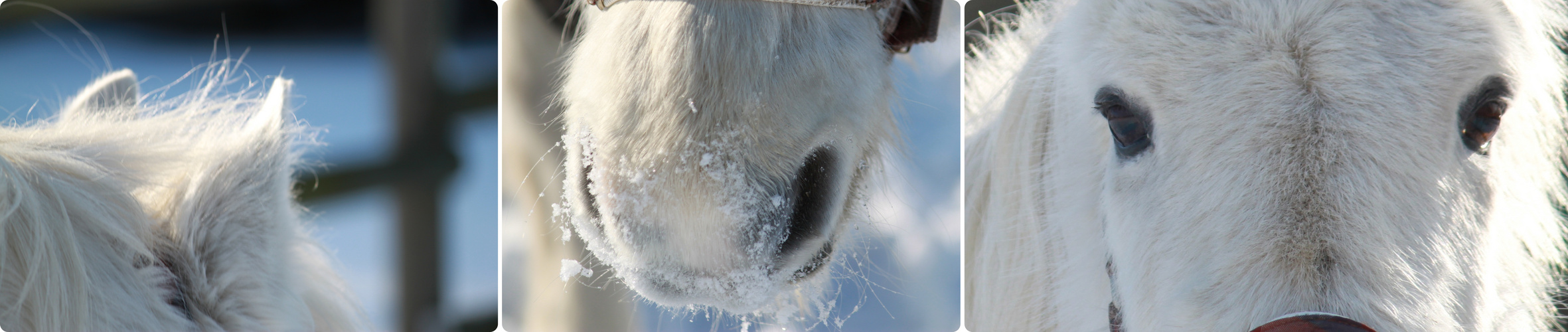 Eine Schneeflocke ; die Liebe zum Detail.