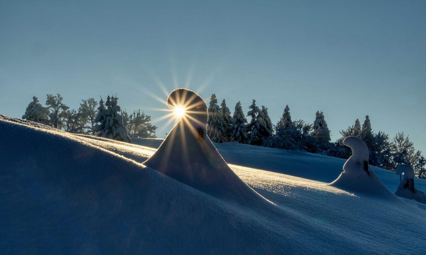 eine Schneehaube im Gegenlicht