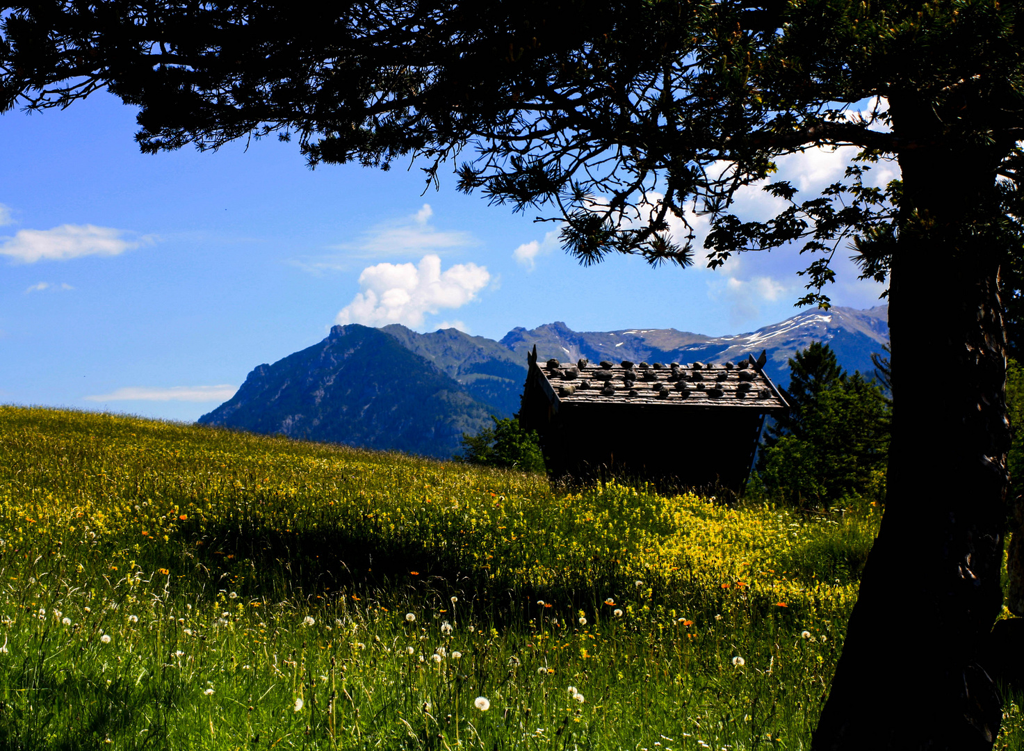 eine schöne Berglandschaft