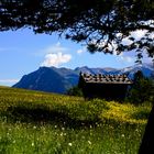 eine schöne Berglandschaft