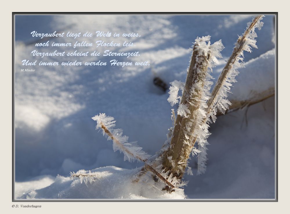 Eine schöne besinnliche Weihnachten...... Foto & Bild karten und