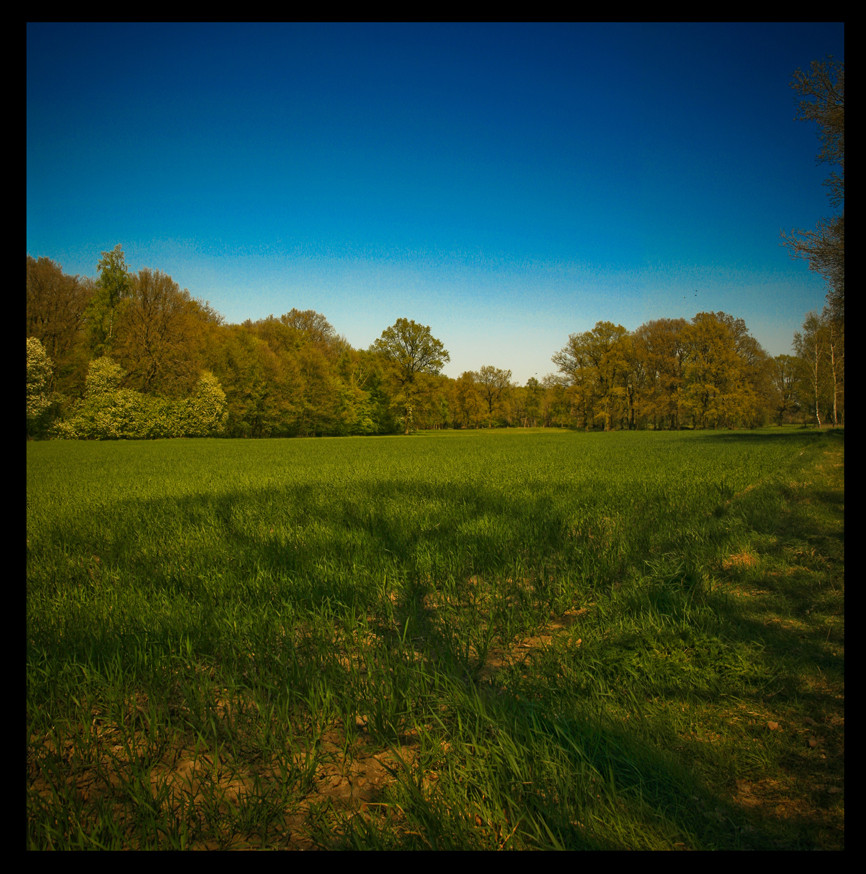 Eine schöne Landschaft in Lüneburg