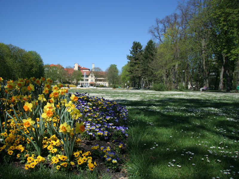 Eine schöne Parkanlage