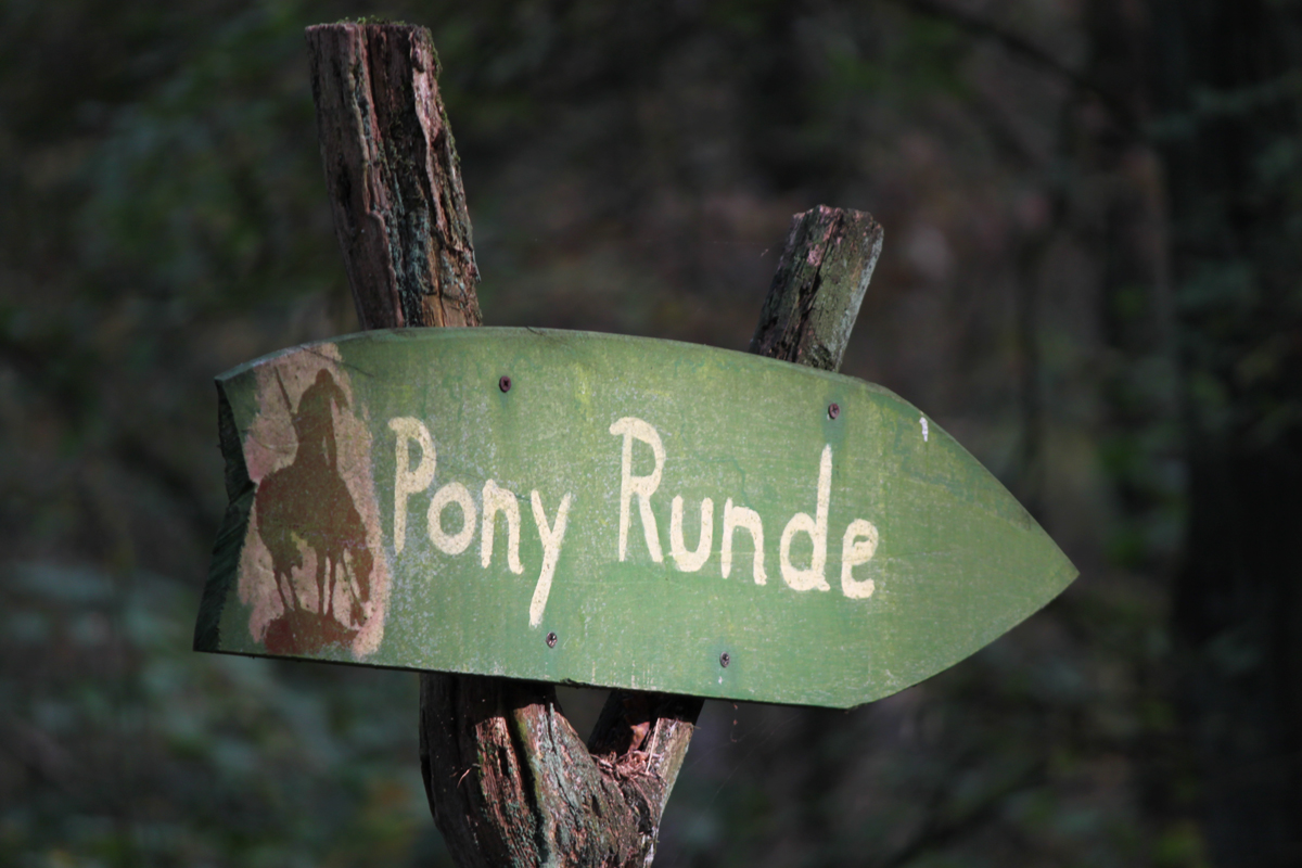 Eine schöne Pony Runde.