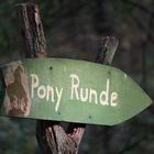 Eine schöne Pony Runde.