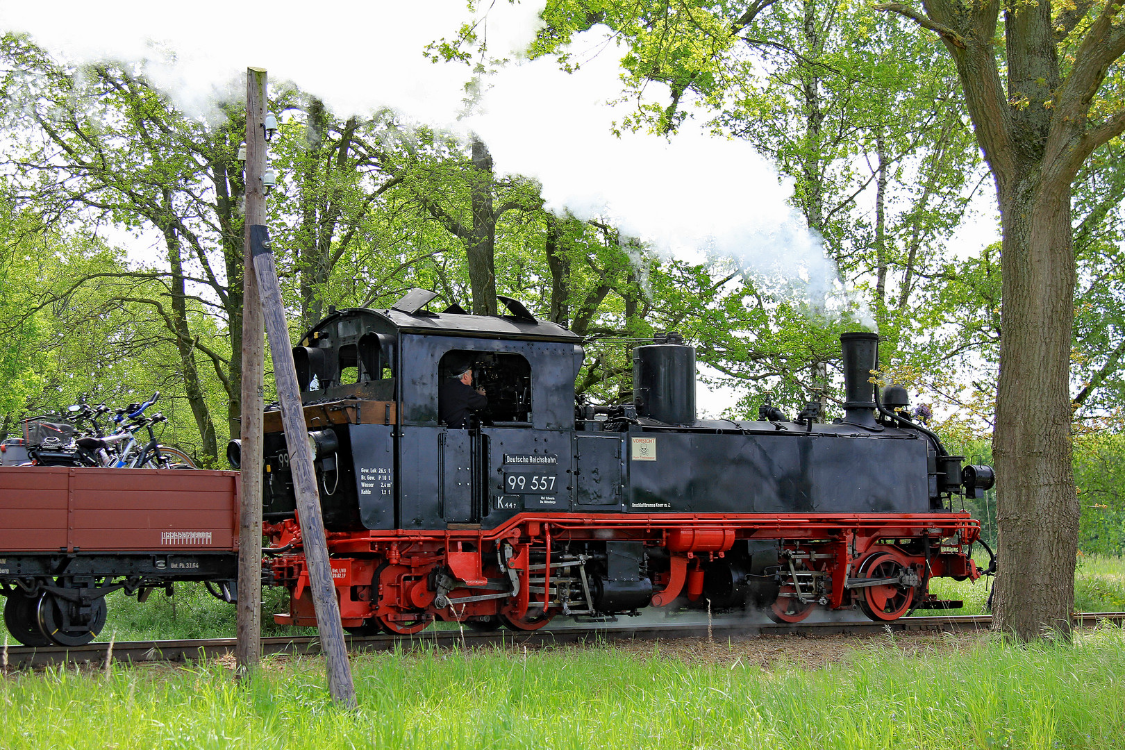 Eine schöne Sächsin in Brandenburg