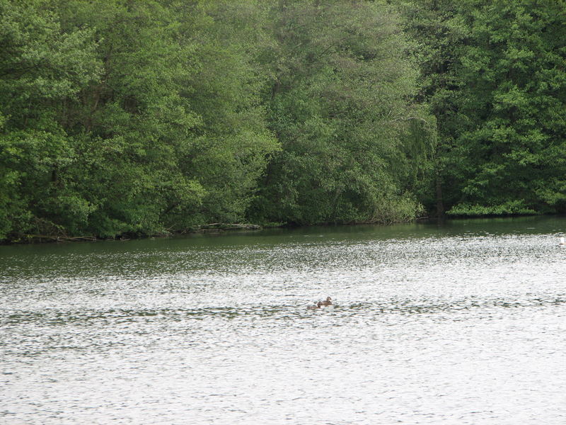 Eine schöne Seen Landschaft