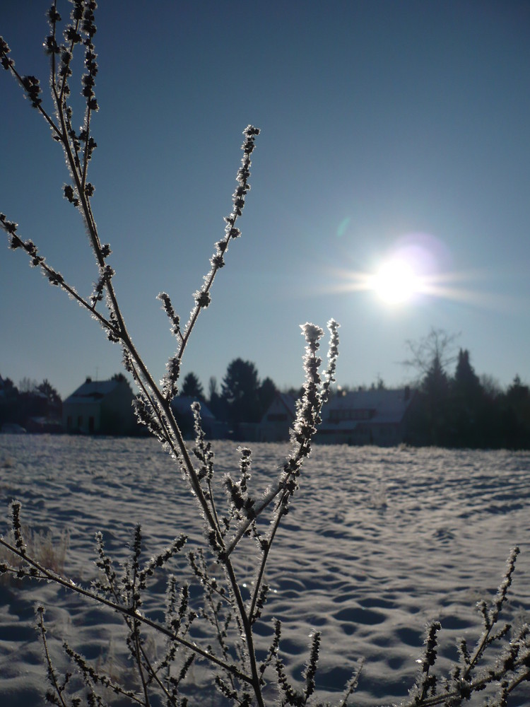 Eine schöne Seite des Winters