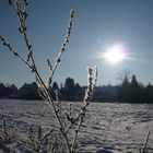 Eine schöne Seite des Winters