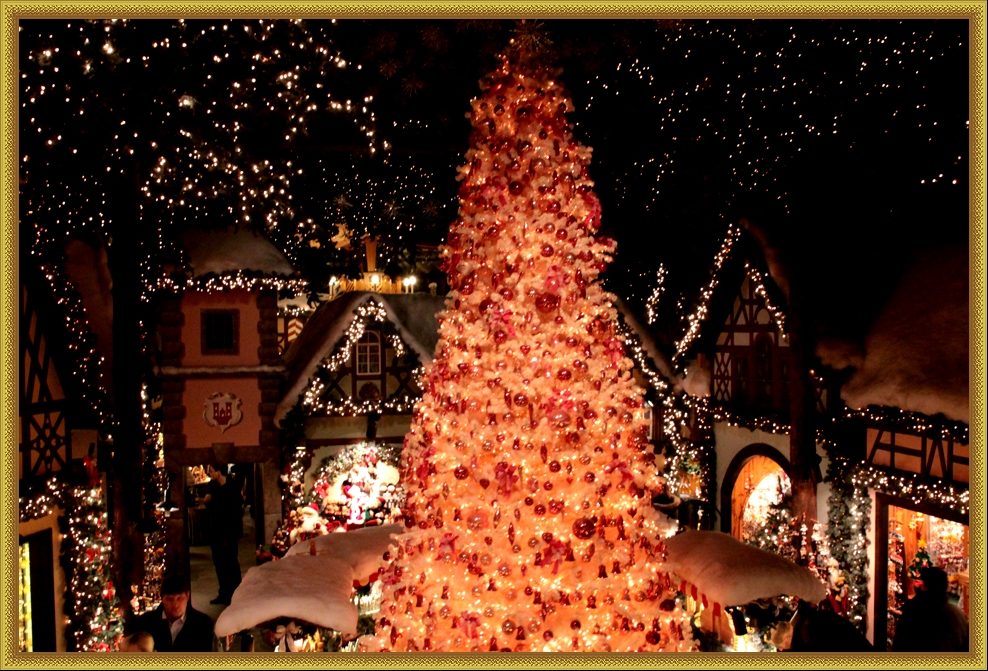 Eine schöne Vorweihnachtszeit Foto & Bild kunstfotografie & kultur