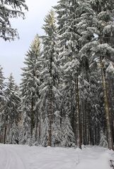 Eine schöne Weihnachtszeit