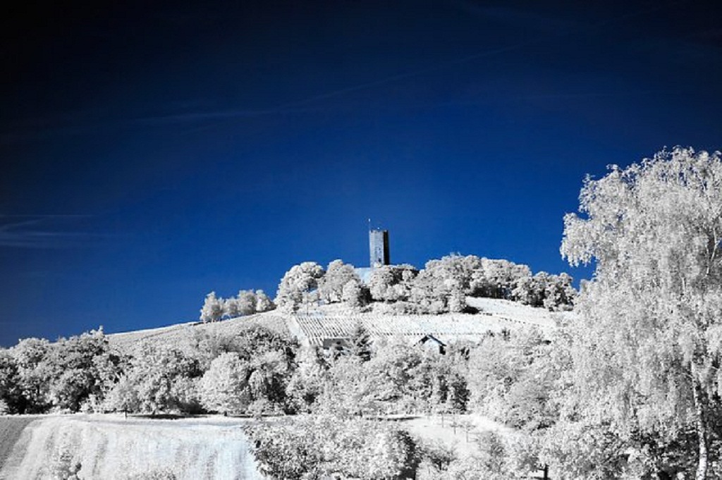 eine schöne winterlandschaft