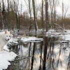 Eine schöne Winterlandschaft .... II