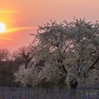 Eine schöner Frühlingstag beginnt