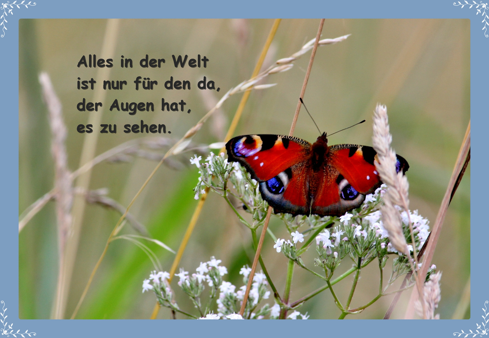 eine Schönheit der Natur