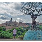 Eine Schokoladenseite von Siena.