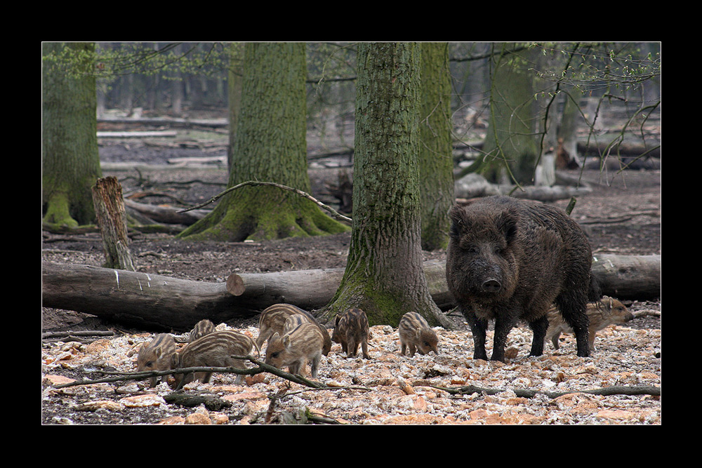 Eine schrecklich nette Familie